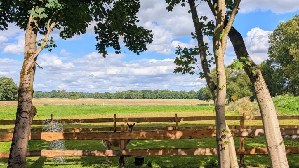 PXL_20250903_121731186~2